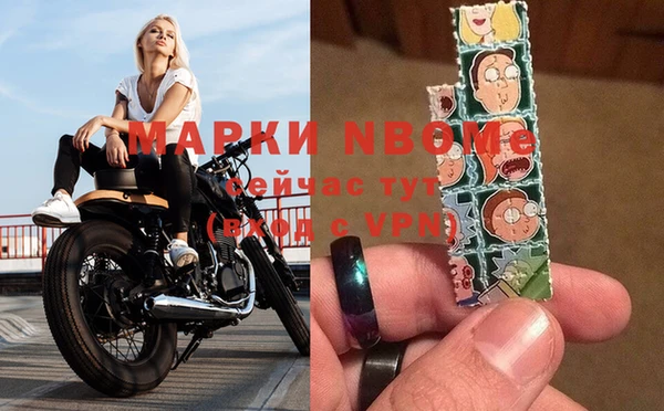 прущие грибы Белоозёрский