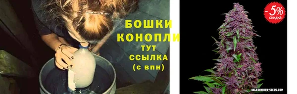 амф Белокуриха