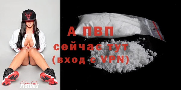 амф Белокуриха