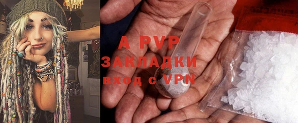 амф Белокуриха