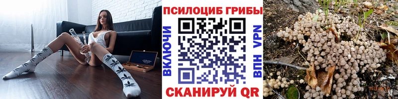 продажа наркотиков  darknet формула  Псилоцибиновые грибы ЛСД  Борисоглебск 